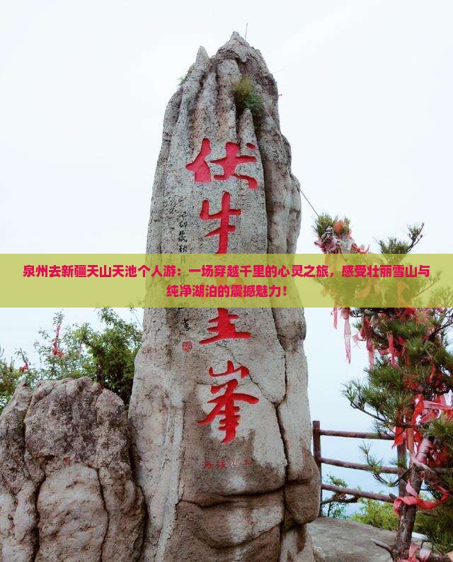 泉州去新疆天山天池个人游