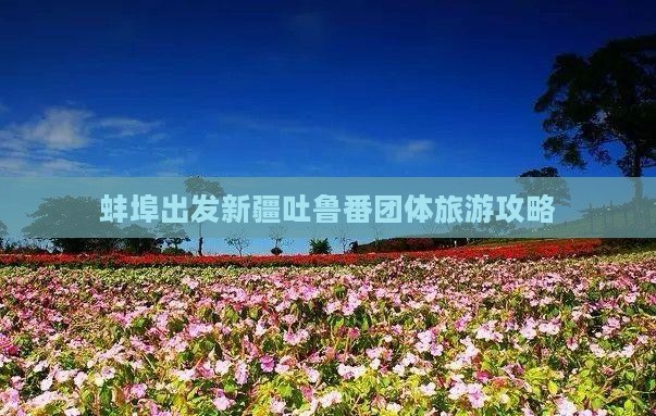蚌埠到新疆吐鲁番团体旅游