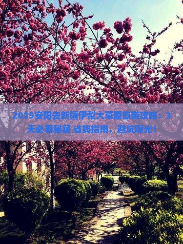 安阳去新疆伊犁大草原旅游