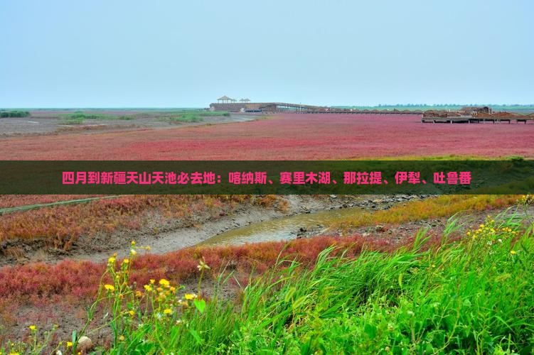 四月到新疆天山天池必去地