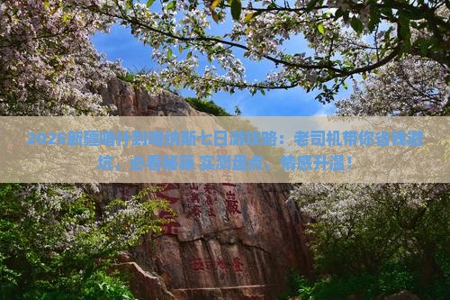 喀什到新疆喀纳斯七日游