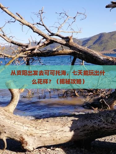 资阳到新疆可可托海七日游