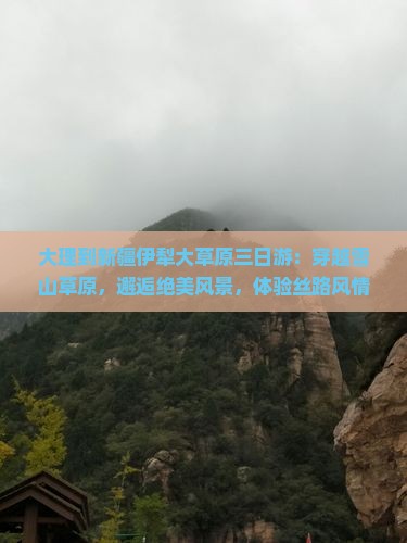 大理到新疆伊犁大草原三日游