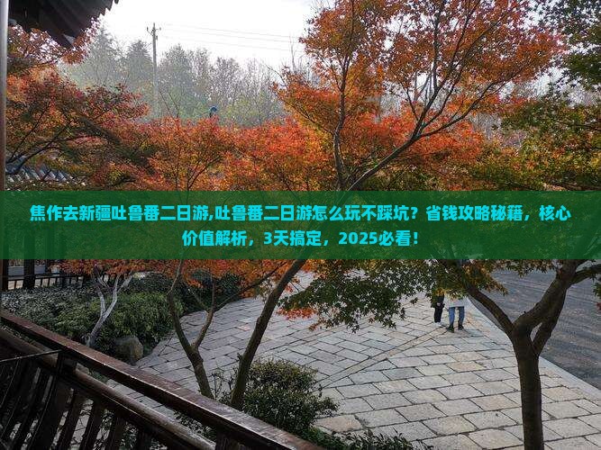焦作去新疆吐鲁番二日游 焦作去新疆吐鲁番二日游