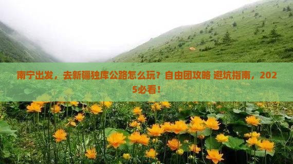 南宁到新疆独库公路自由团