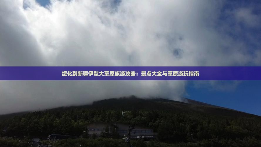 绥化到新疆伊犁大草原哪里玩