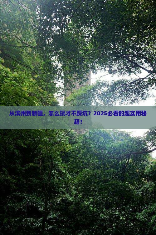 滨州到新疆攻略