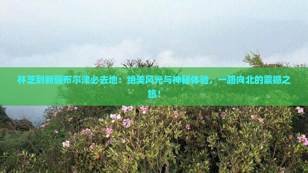 林芝到新疆布尔津必去地