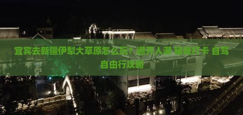 宜宾去新疆伊犁大草原旅行社