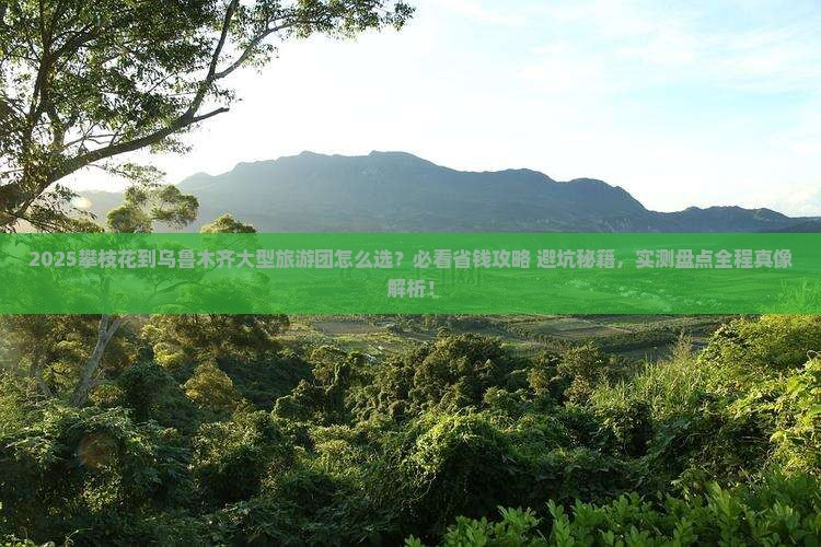 攀枝花到新疆乌鲁木齐大型旅游团
