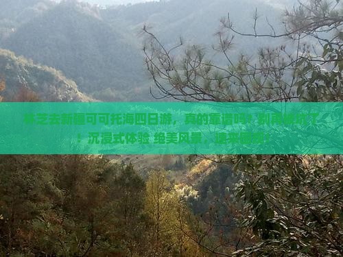 林芝去新疆可可托海四日游 林芝去新疆可可托海四日游