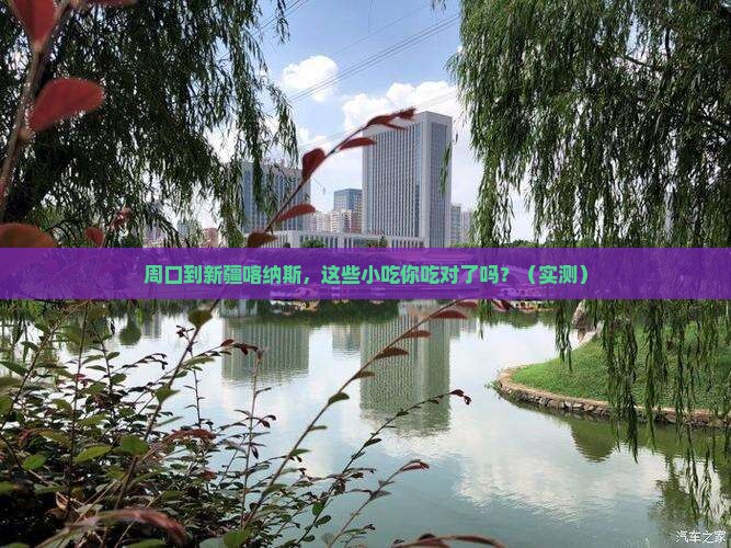 周口到新疆喀纳斯旅游小吃