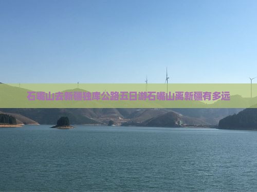石嘴山去新疆独库公路五日游