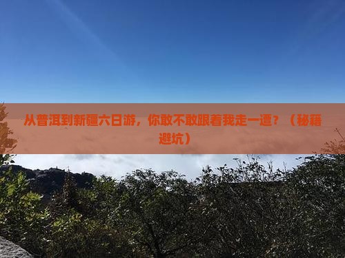 普洱到新疆六日游