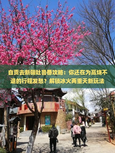 自贡去新疆吐鲁番攻略