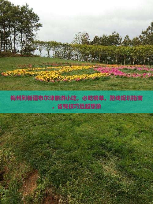 梅州到新疆布尔津旅游小吃