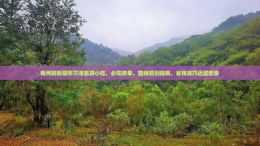 梅州到新疆布尔津旅游小吃