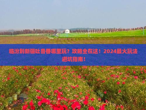 临汾到新疆吐鲁番哪里玩