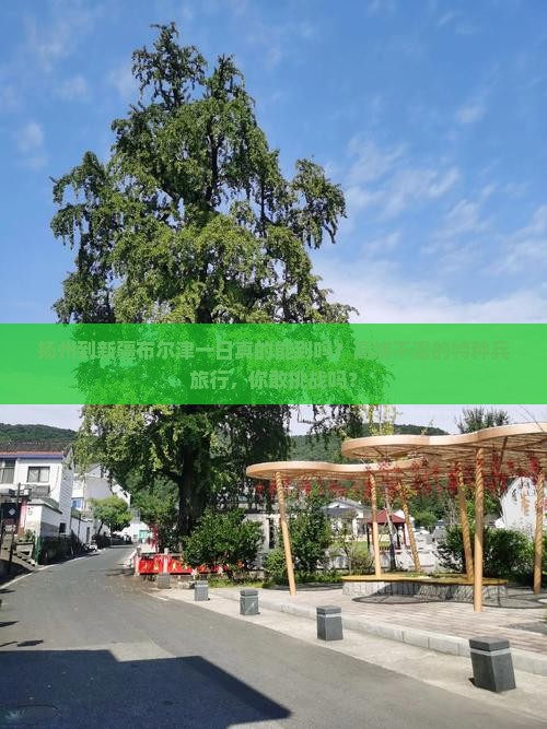 扬州到新疆布尔津一日