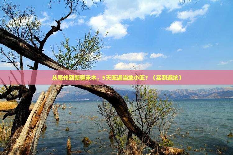 亳州去新疆禾木旅游小吃