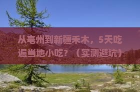 亳州去新疆禾木旅游小吃