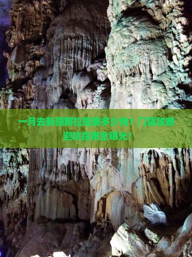 一月到新疆那拉提门票
