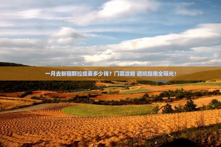 一月到新疆那拉提门票