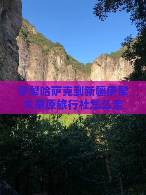 伊犁哈萨克到新疆伊犁大草原旅行社