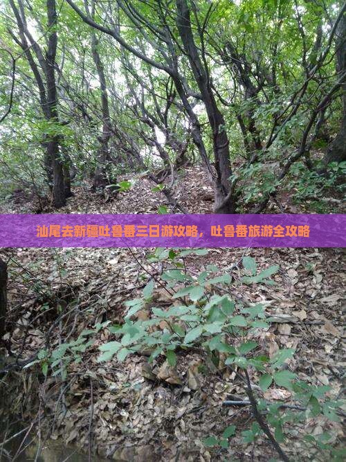 汕尾去新疆吐鲁番三日游