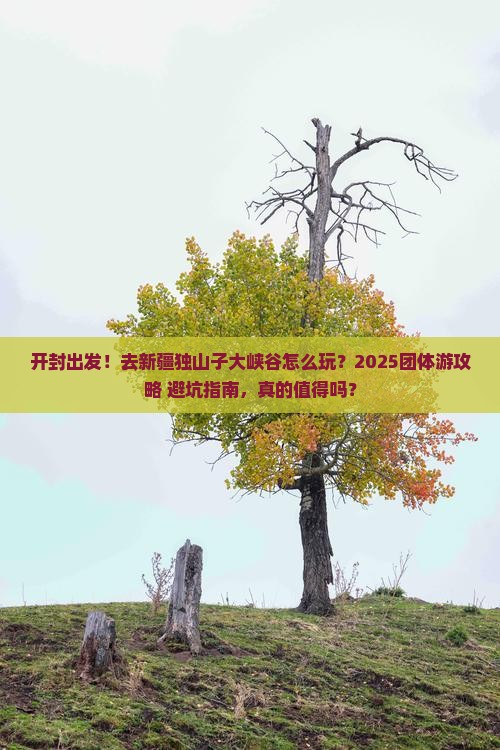 开封到新疆独山子大峡谷团体旅游