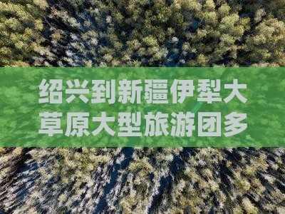 绍兴到新疆伊犁大草原大型旅游团