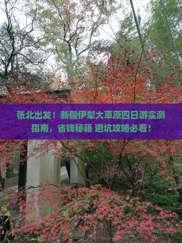 张北到新疆伊犁大草原四日游