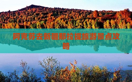 阿克苏去新疆那拉提旅游