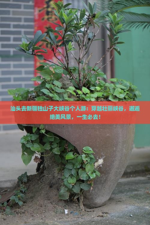 汕头去新疆独山子大峡谷个人游