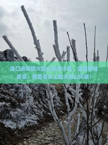 海口去新疆火焰山旅游小吃