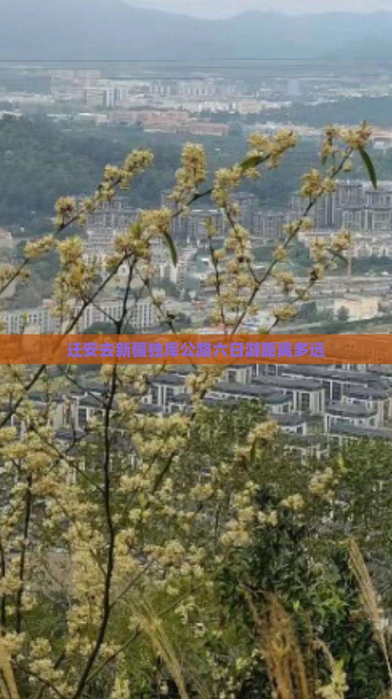迁安去新疆独库公路六日游