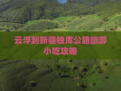 云浮到新疆独库公路旅游小吃