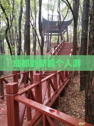 成都到新疆个人游