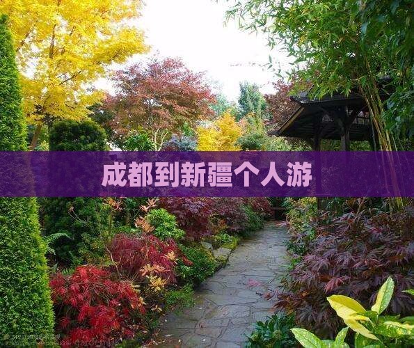 成都到新疆个人游