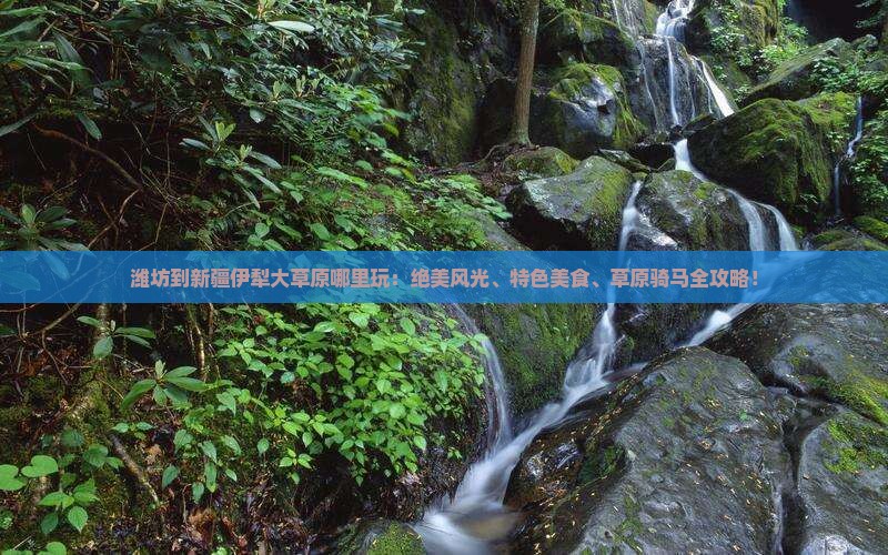 潍坊到新疆伊犁大草原哪里玩