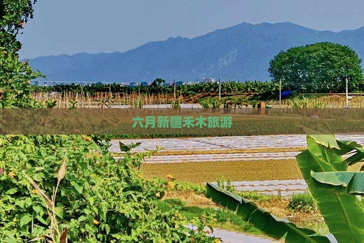 六月到新疆禾木景点