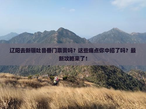 辽阳去新疆吐鲁番门票