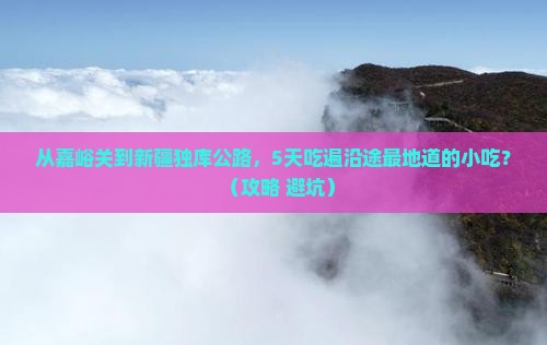嘉峪关到新疆独库公路旅游小吃