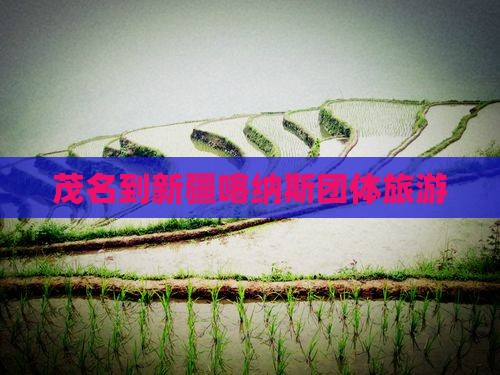 茂名到新疆喀纳斯团体旅游