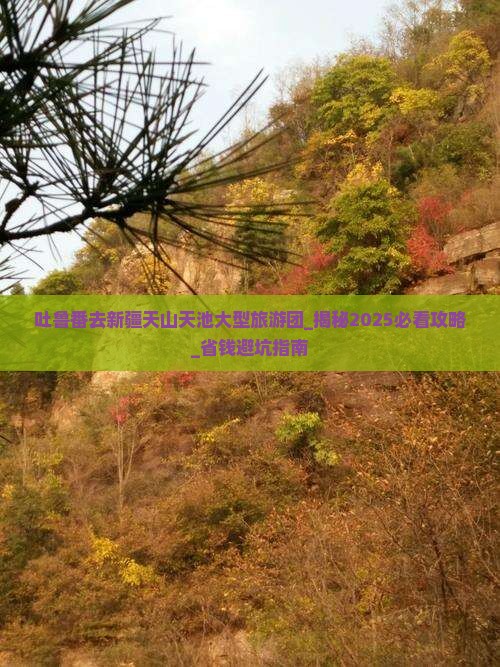 吐鲁番去新疆天山天池大型旅游团