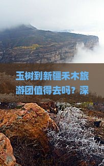 玉树到新疆禾木大型旅游团