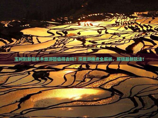 玉树到新疆禾木大型旅游团