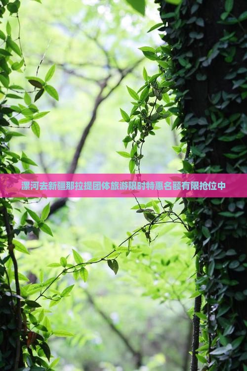 漯河去新疆那拉提团体旅游