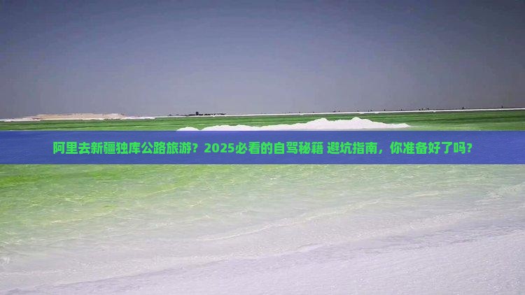 阿里去新疆独库公路旅游
