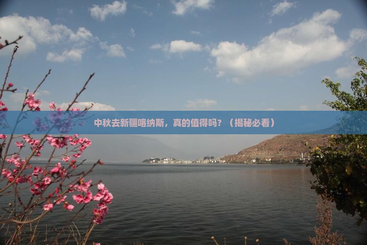 中秋节到新疆喀纳斯旅行社